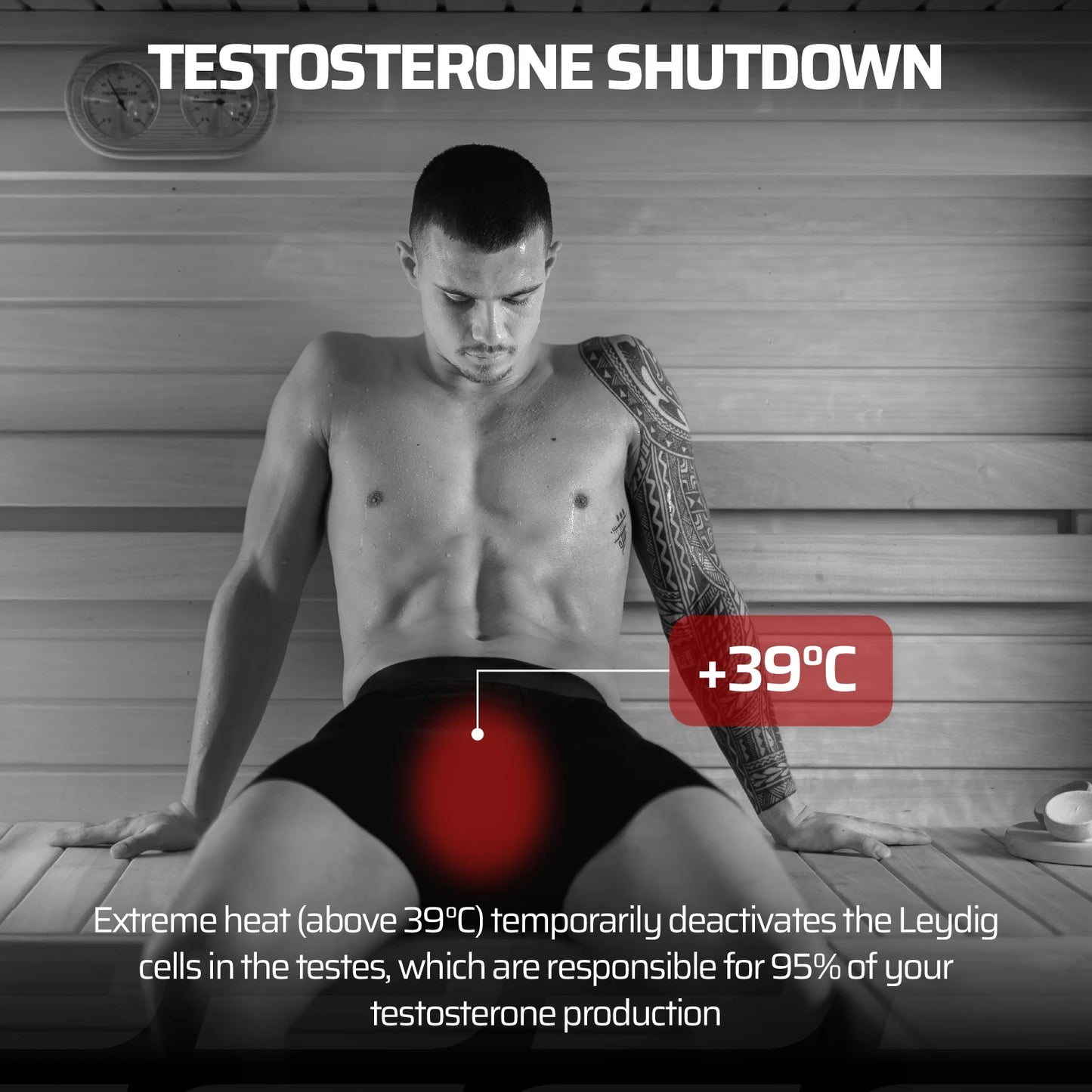 Thermal Shield 4-Pack