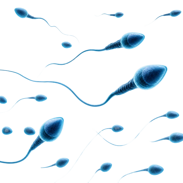 Thermal Infertility
