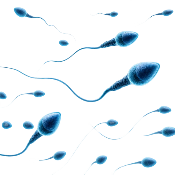 Thermal Infertility